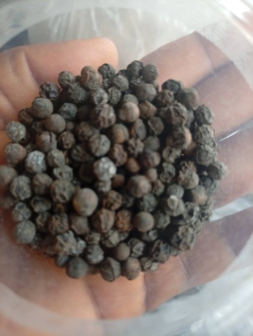 Premium Organic Black Pepper