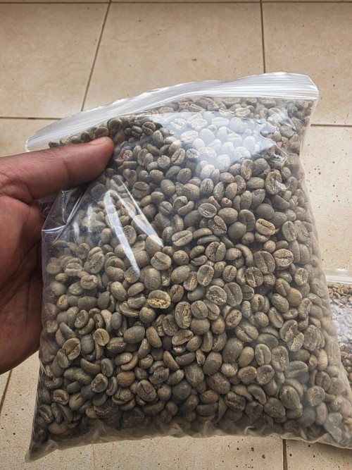 Premium Coffee Beans for Sale